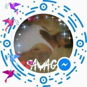 Meet your Posher, Gary